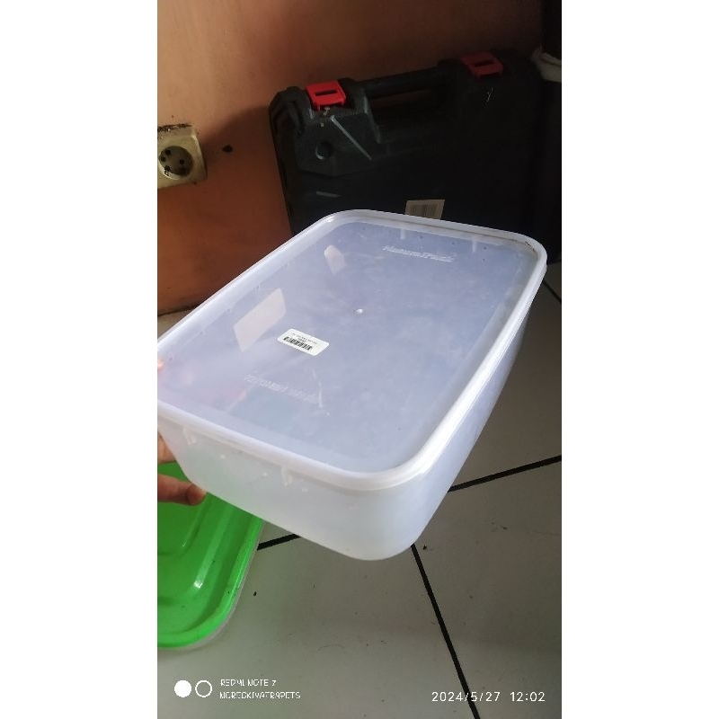 Jual box reptil cocok untuk gecko ular salva sudah ada lubangnya ...
