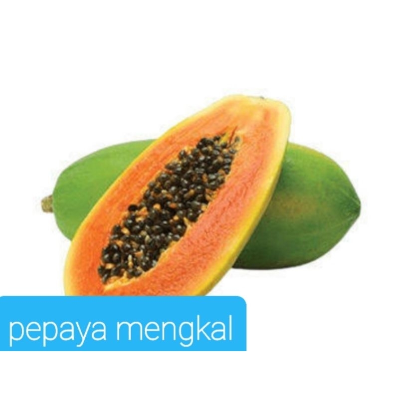 Jual pepaya mengkal/pepaya rujak | Shopee Indonesia
