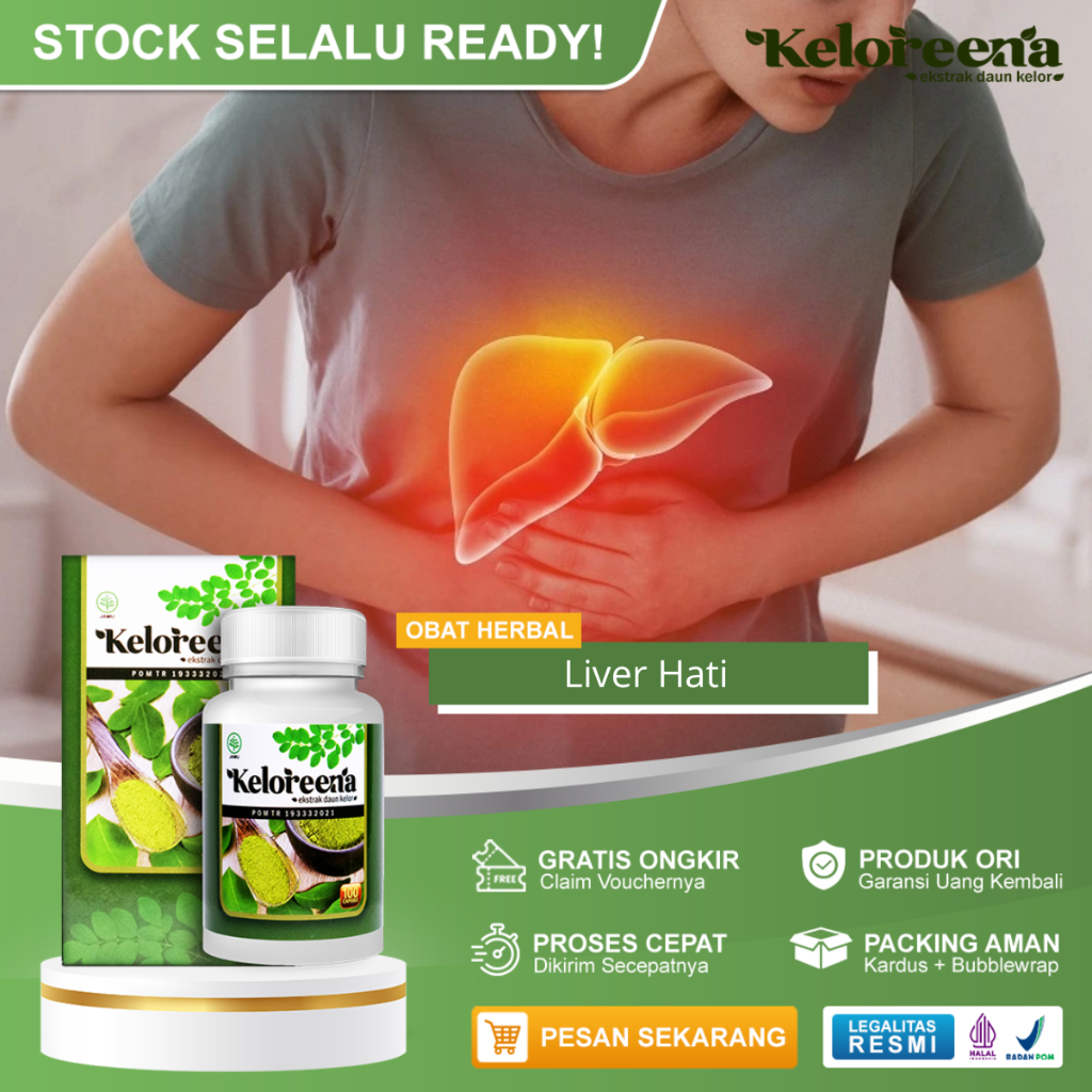 Jual Obat Liver Pembengkakan Hati Perut Bengkak Keras Kembung Begah