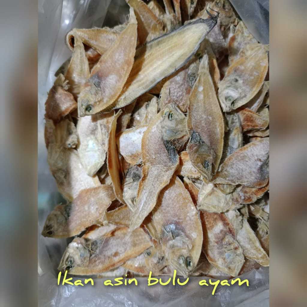 Jual Ikan Asin Bulu Ayam Original Segar Murah (250gr/500gr/1000gr ...