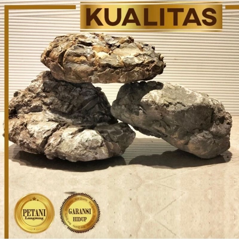 Jual Batu Turly Stone Hiasan Aquarium Ikan Hias Aquascape Tanaman Air ...