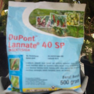 VKontakteda jinnilik qilayotgan oddiy yigitlar