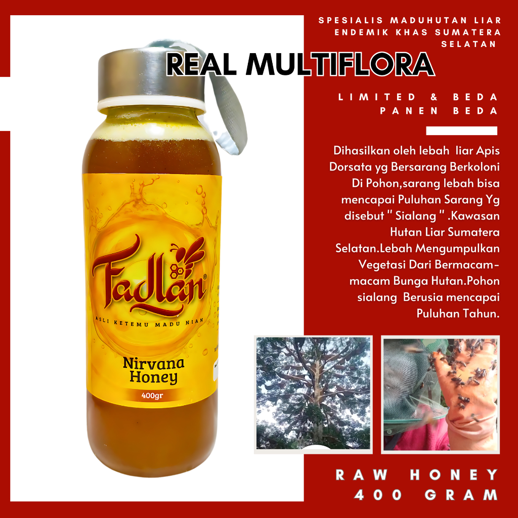 Jual Madu Asli 100 Tanpa Campuran Hutan Liar Murni Organik Multiflora Raw Honey Shopee Indonesia