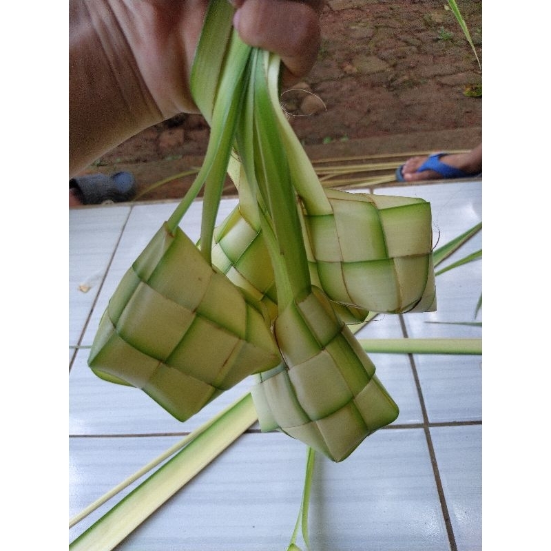 Jual Janur urung ketupat | Shopee Indonesia