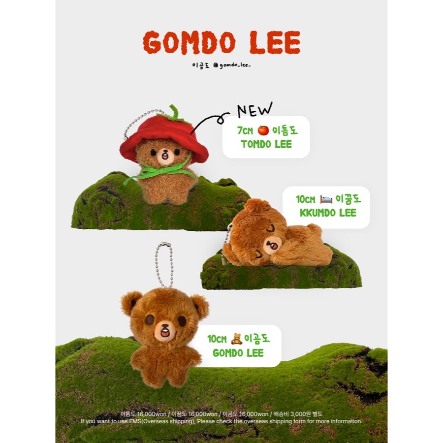 Jual [DP PO] Gomdo Lee Doll by @gomdo_lee_ (NCT HAECHAN) | Shopee