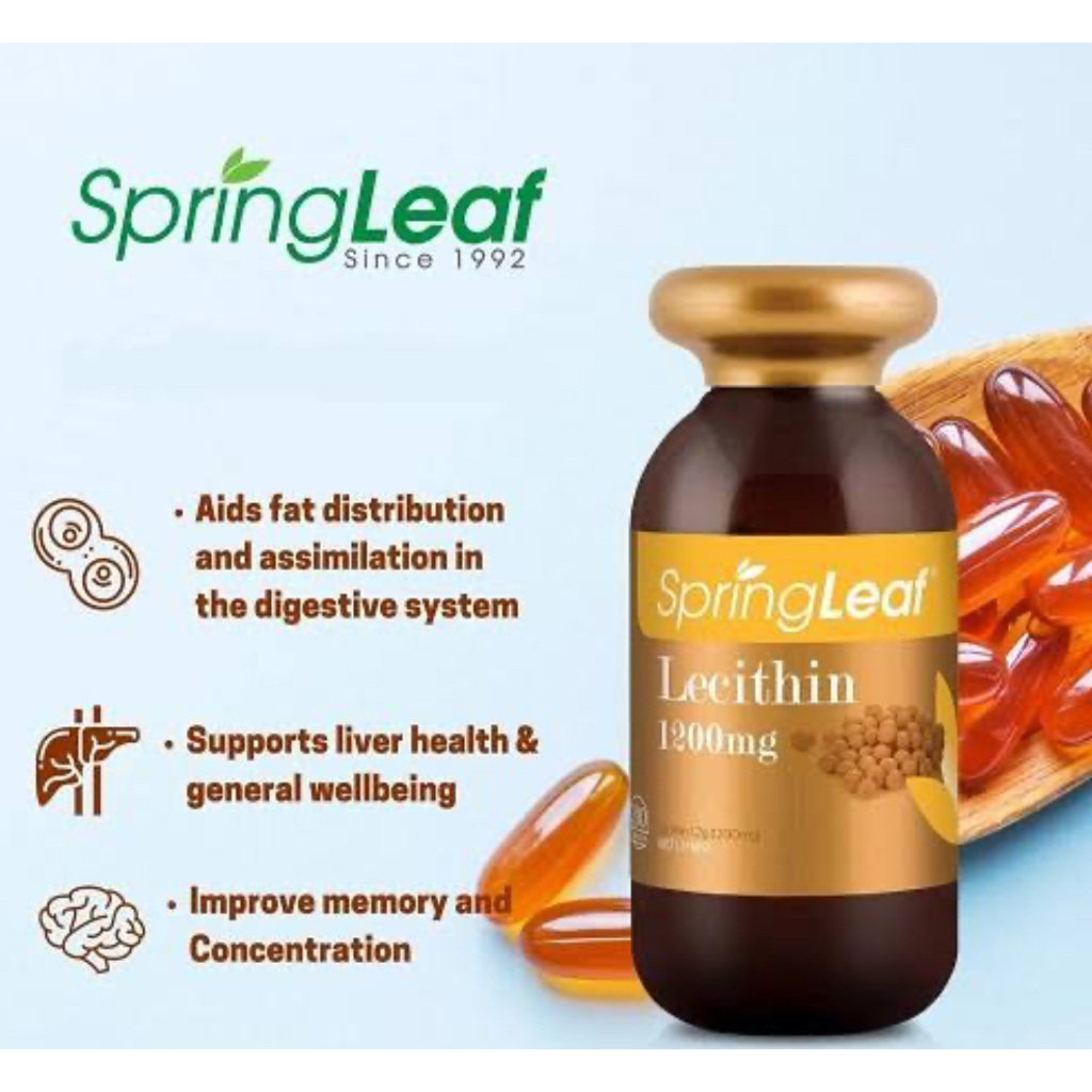 Jual SpringLeaf/spring leaf premium Lecithin 1200mg Improve Memory and ...