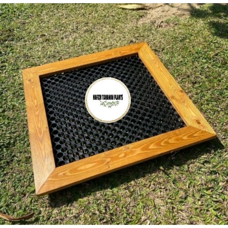 Jual Frame platycerium 50x50 Cm Frame Simbar / Bingkai Platy / Drainase ...