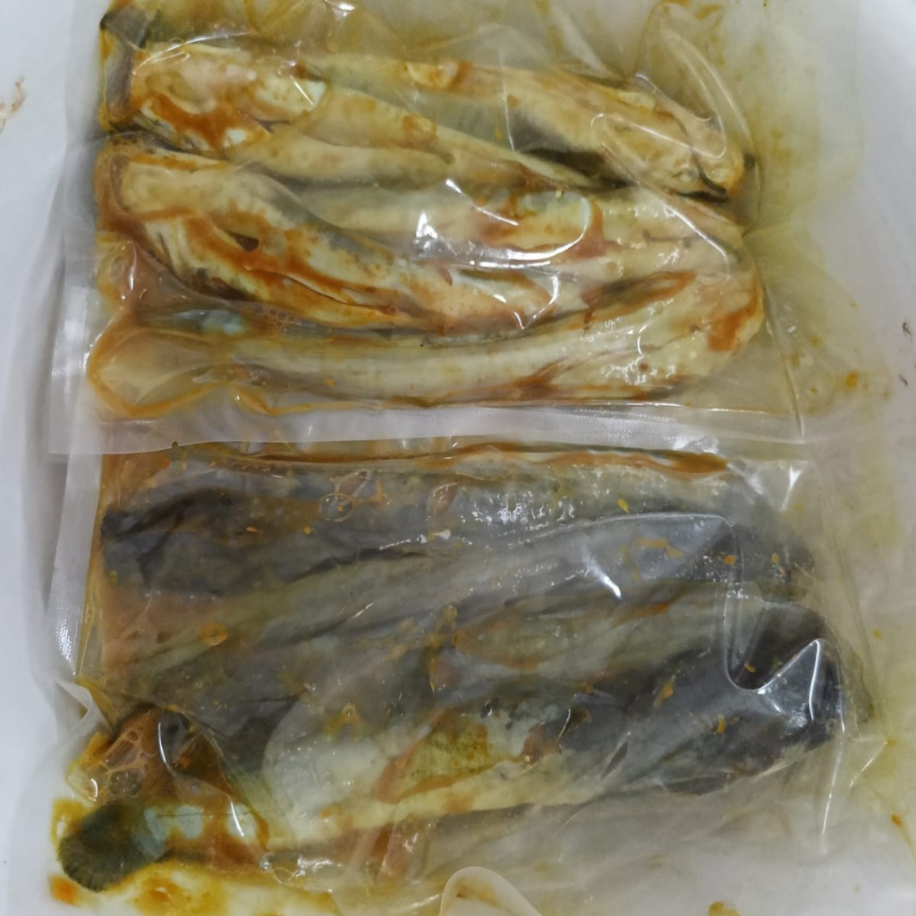 Jual Ikan Lele Bumbu kuning bisa langsung goreng | Shopee Indonesia