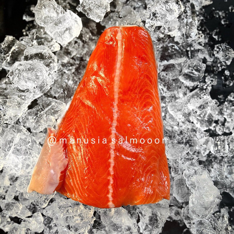 Jual Premium Sashimi Grade Salmon 500GR | Shopee Indonesia