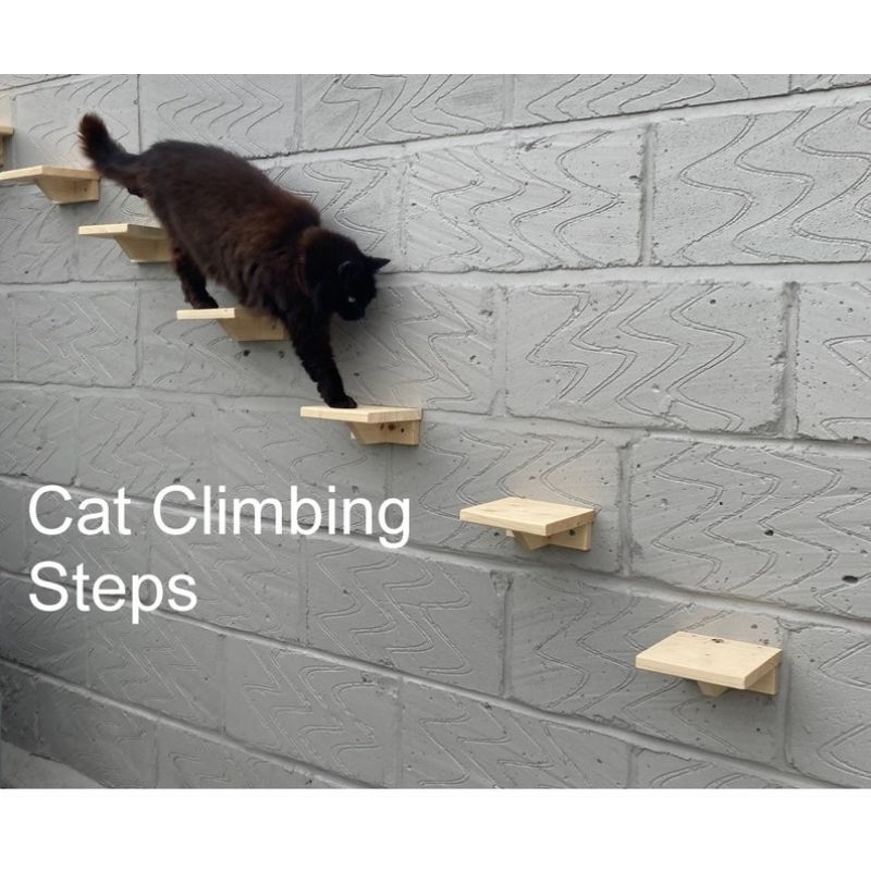 Jual Cat Steps Cat wall ambalan lompatan kucing dinding 4pcs | Shopee ...