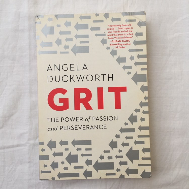 Grit: The Power Of Passion And Perseverance By Angela Duckworth – Used Good, Paperback - View #3