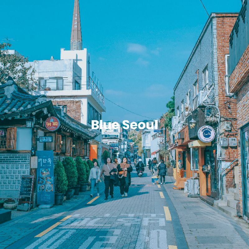 Jual BLUE SEOUL PRESET LIGHTROOM IOS ANDROID DESKTOP | Shopee Indonesia
