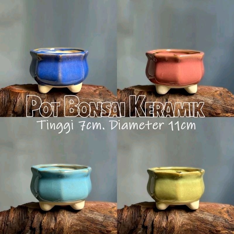 Pot Bonsai Keramik Glossy 4 Warna