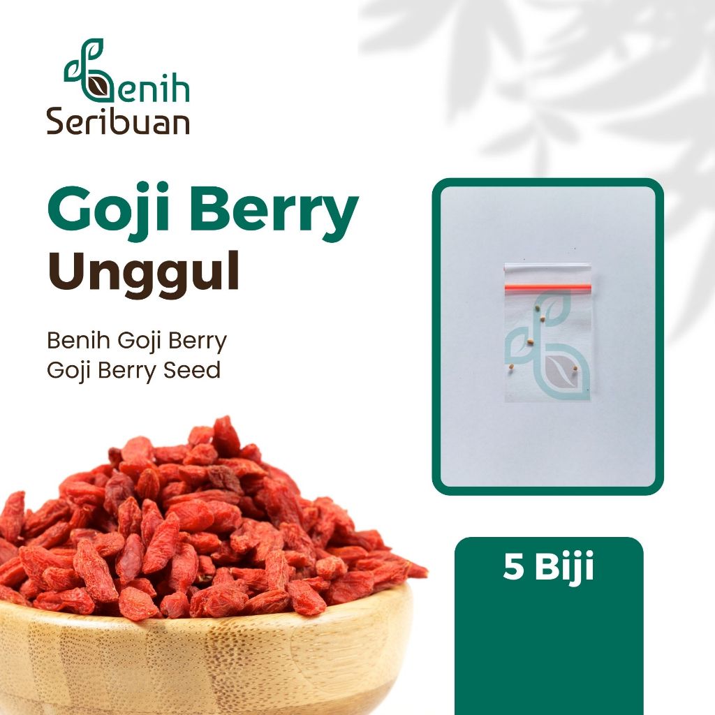 Jual Benih Seribuan Bibit Buah Gojiberry Unggul Shopee Indonesia