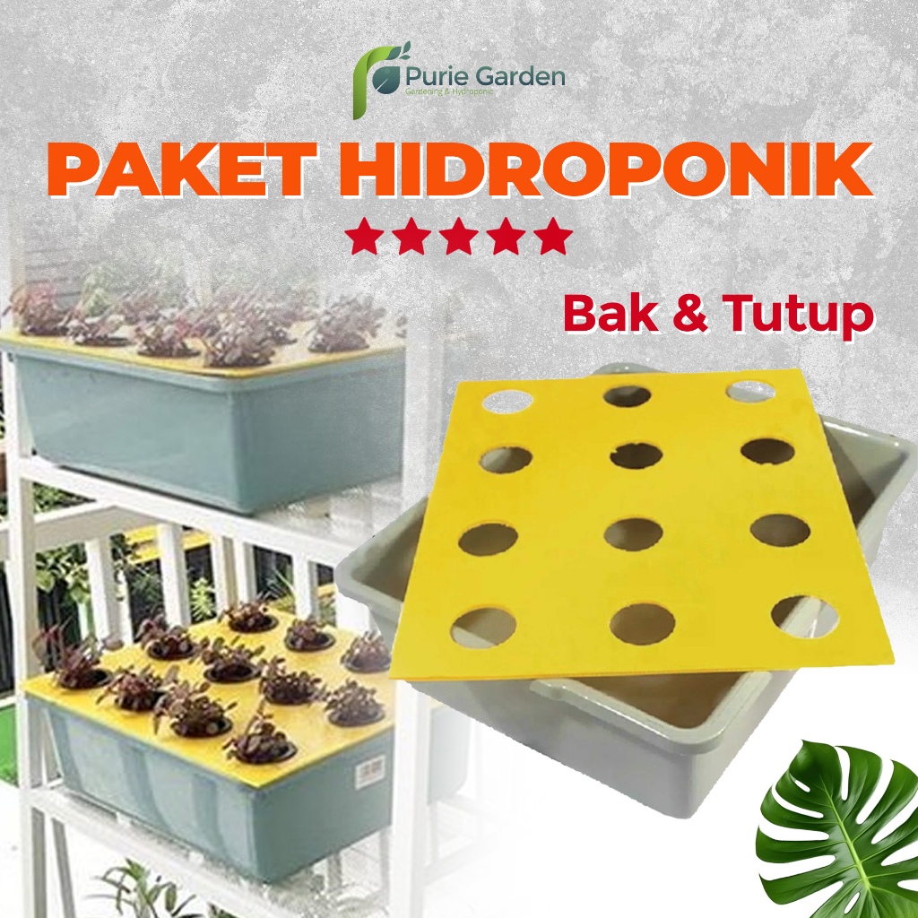 Paket Hidroponik Wick System Bak & Tutup