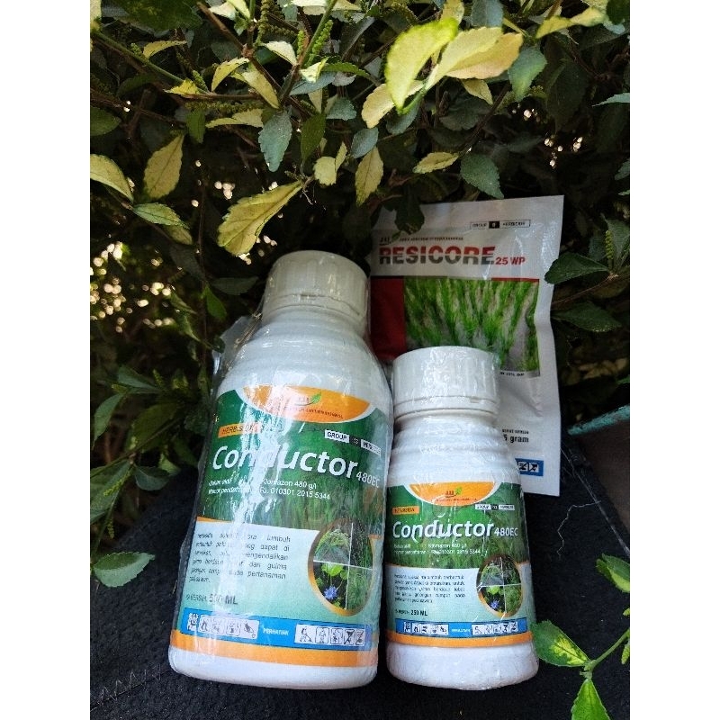 Jual Conductor 480EC + Resicore 24 WP 100ML & 500 ML | Shopee Indonesia