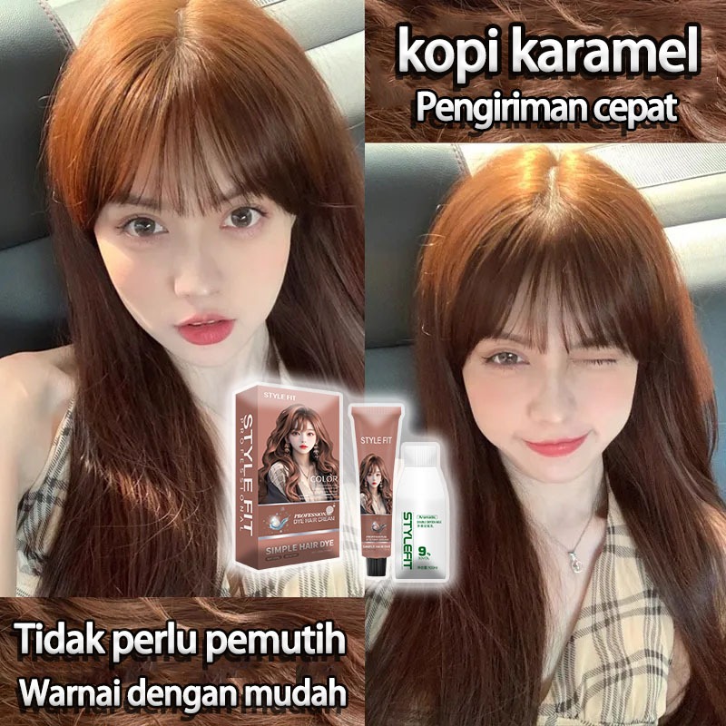Jual [2026 Hot Sale] STYLE FIT pewarna rambut*200ml sari tumbuhan murni ...