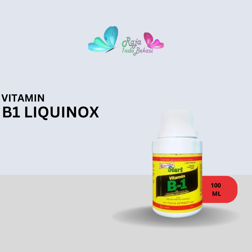 Jual Ori B1 Liquinox 100 Ml Penumbuh Akar Obat Anti Stres Vitamin ...