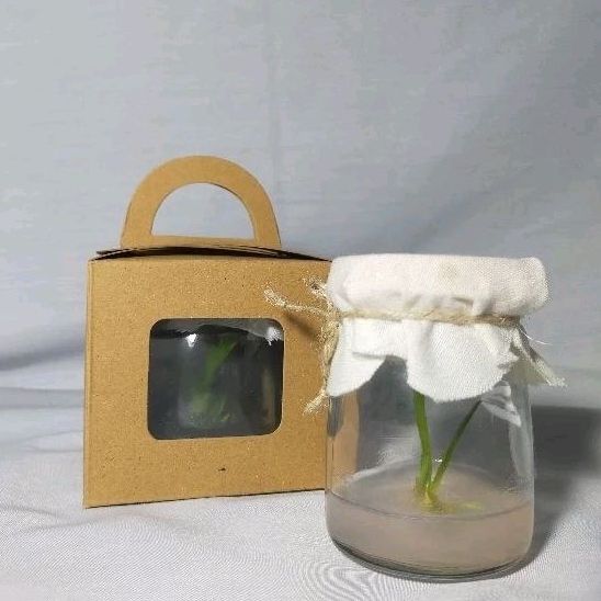Jual Orchid Mini Jar | Shopee Indonesia
