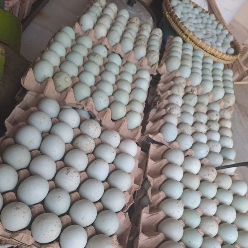 Jual TELUR BEBEK MENTAH OMEGA 3 FRESH (UKURAN BESAR) | Shopee Indonesia
