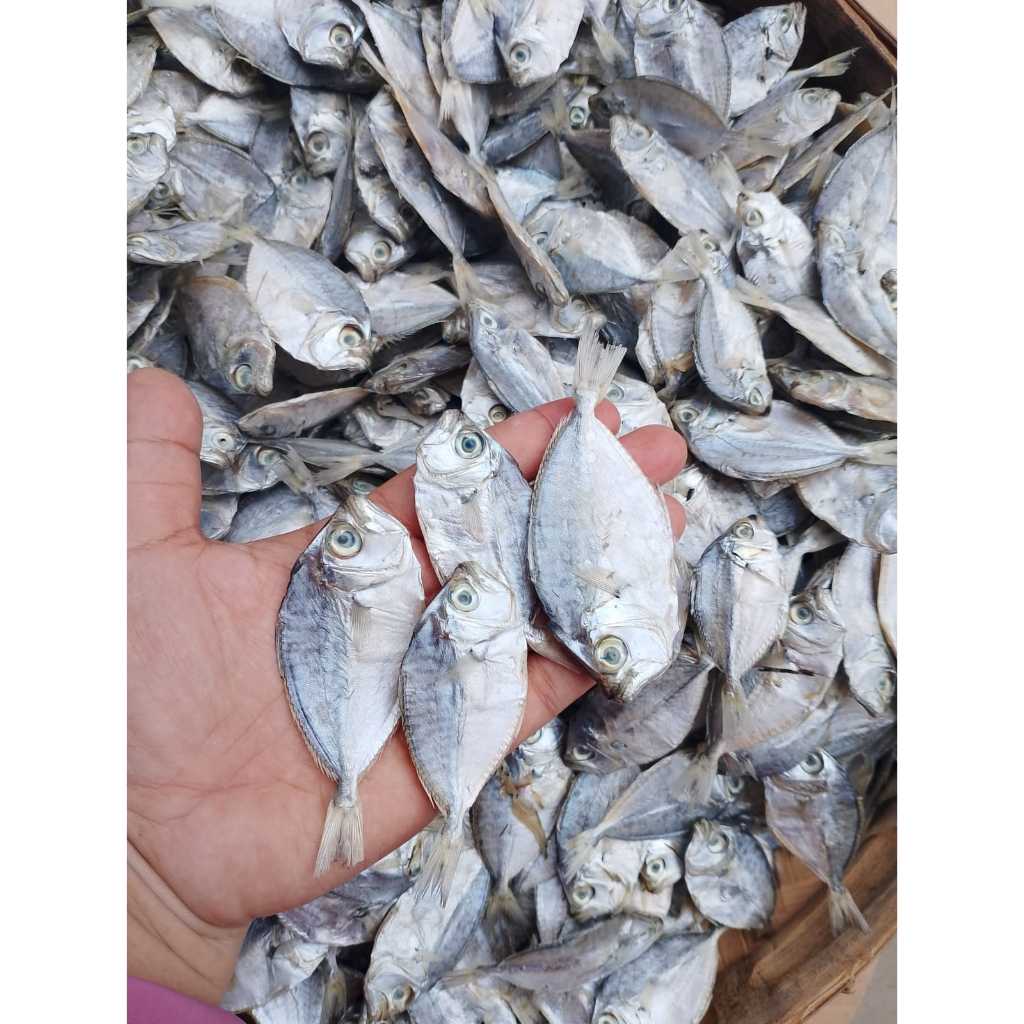 Jual Ikan asin petek / ikan asin pirik / ikan dodok kering | Shopee ...