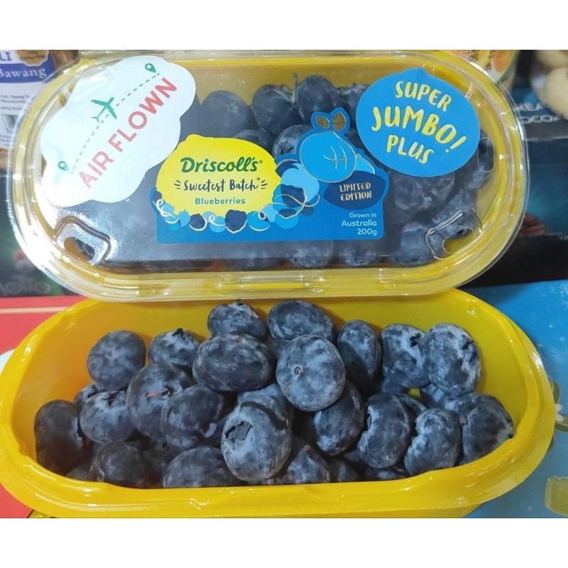 Jual Blueberry Driscoll Sweet china 200 gr | Shopee Indonesia