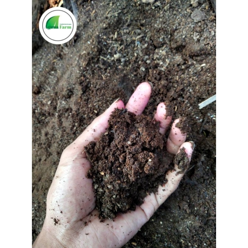 Jual pupuk kandang murni kohe sapi siap pakai untuk tanaman dan sayuran ...