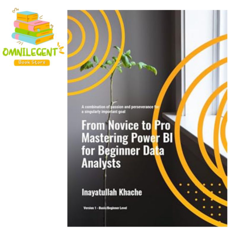 Jual Buku From Novice to Mastering Power BI for Beginner Data Analysts ...