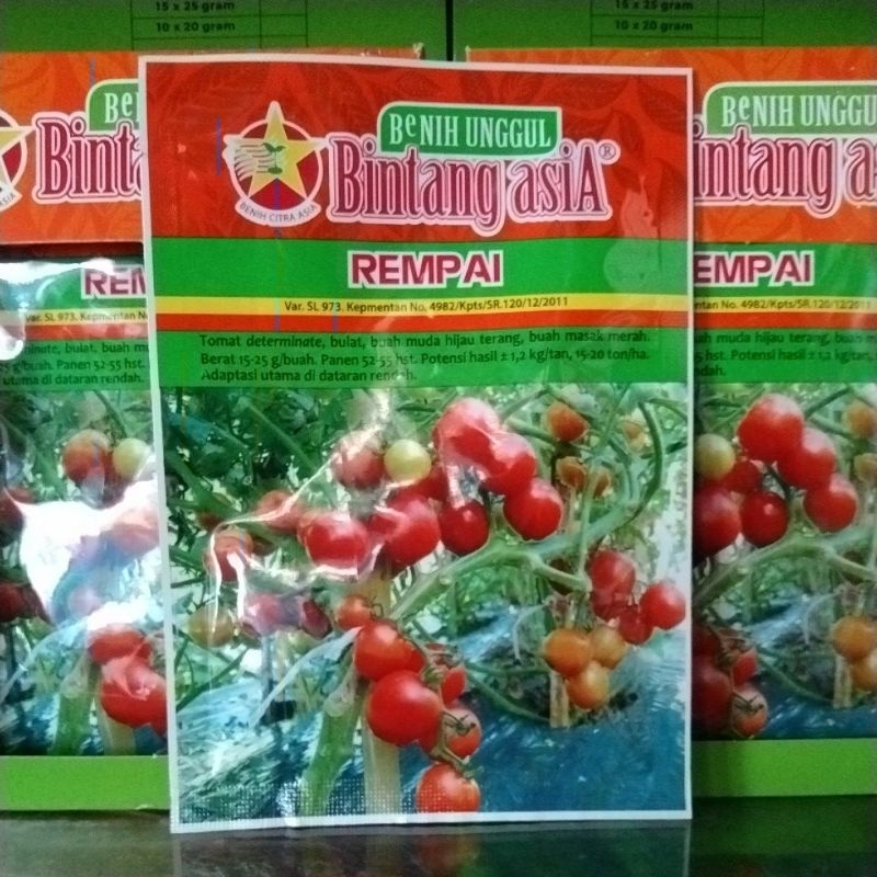 Jual tomat REMPAI | Shopee Indonesia