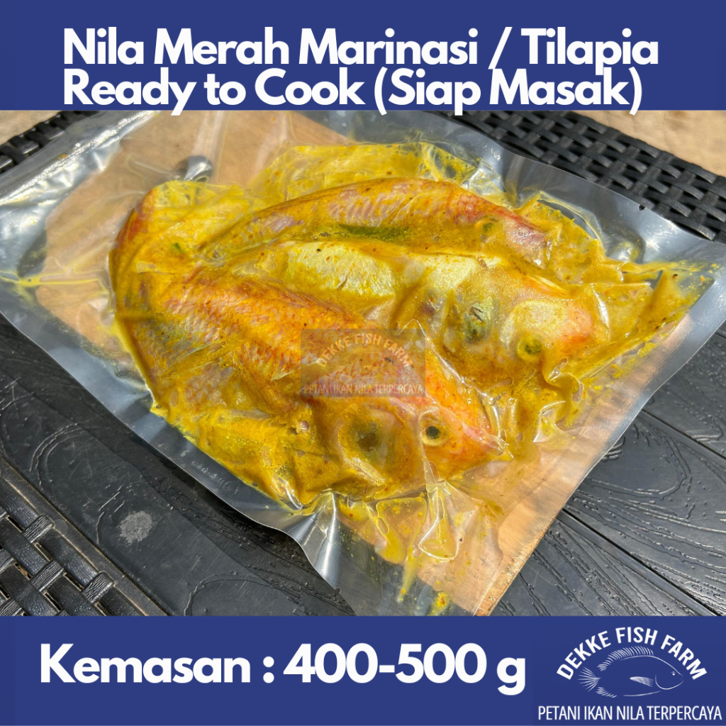 Jual Ikan Nila Merah Marinasi Bumbu Kuning / Marinated Red Tilapia Ready to Cook (Siap Masak