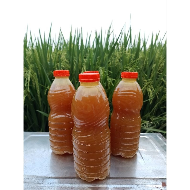 Jual Lem Botolan Kuning 220ml /Lem Kuning Super/Lem Kuning Serbaguna ...