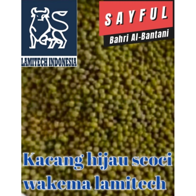 Jual KACANG HIJAU IMPORT SEOCI WAKEMA LAMITECH 500GR DAN 1KG | Shopee ...