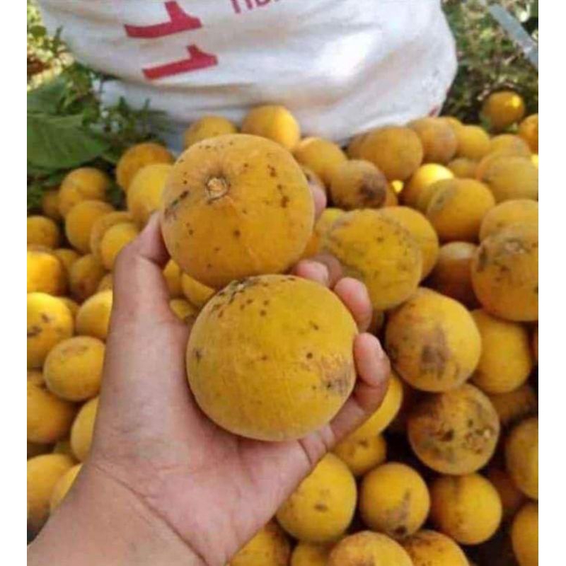 Jual kecapi Bogor manis 1kg | Shopee Indonesia