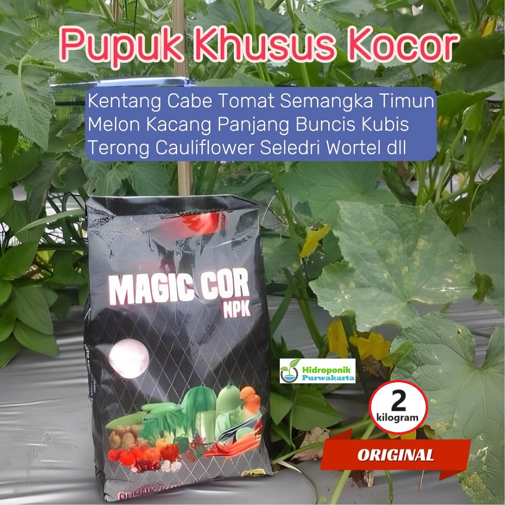 Jual Pupuk Npk Plus Unsur Mikro Magic Cor Khusus Kocor Isi Kg Untuk