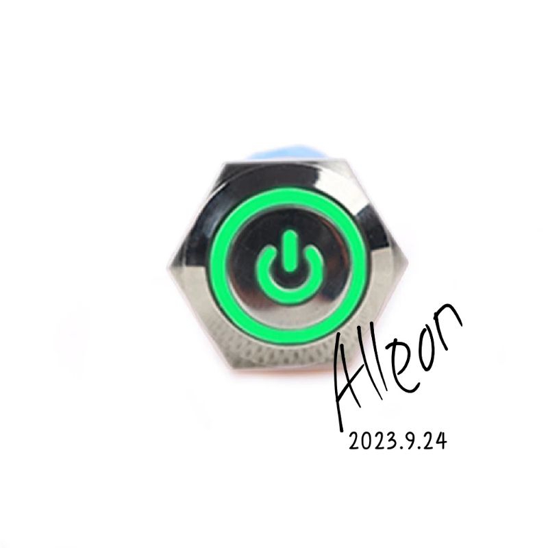 Jual Stainless Steel 16mm PUSH On Off Green 12V LED Flat Head /Switch ...