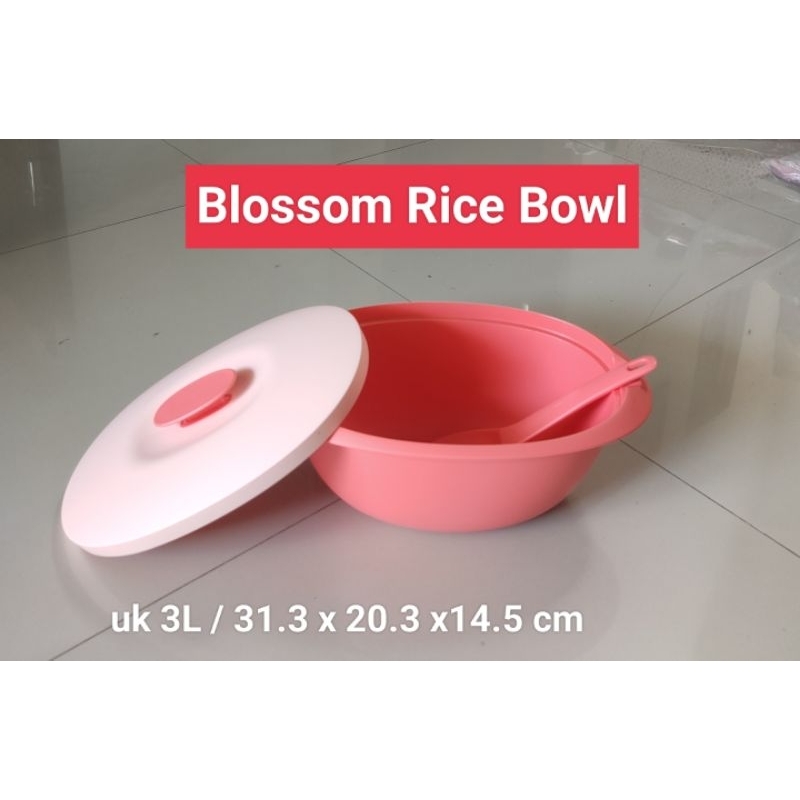 Jual Blossom rice Bowl | Shopee Indonesia