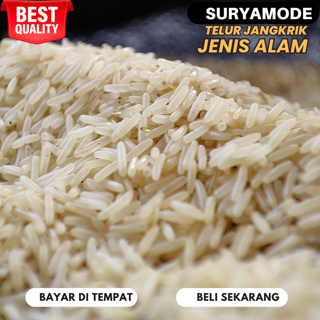 Jual Harga telur jangkrik per kilo murah kualitas bagus 100% menetas