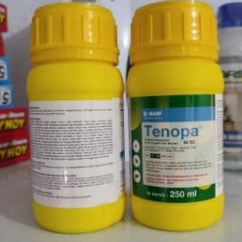 Jual Tenopa 60 SC obat Rayap bagus ampuh | Shopee Indonesia