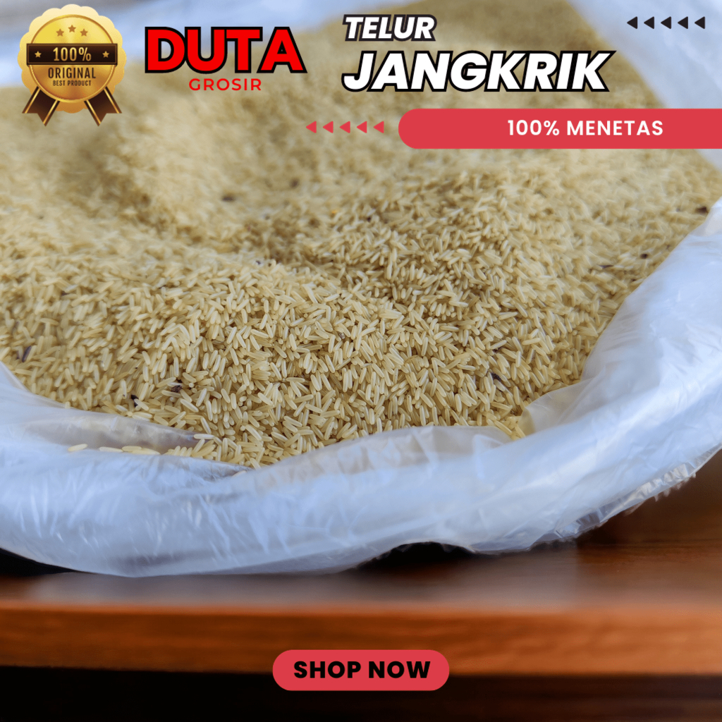 Jual Telur Jangkrik 1 Kg Alam Madu Kualitas Super Fresh Tanpa Di Tandon