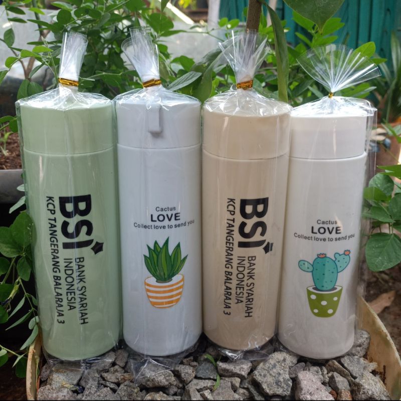 Jual Souvenir Botol Kaktus Custom Nama Kemas Plastik Shopee Indonesia