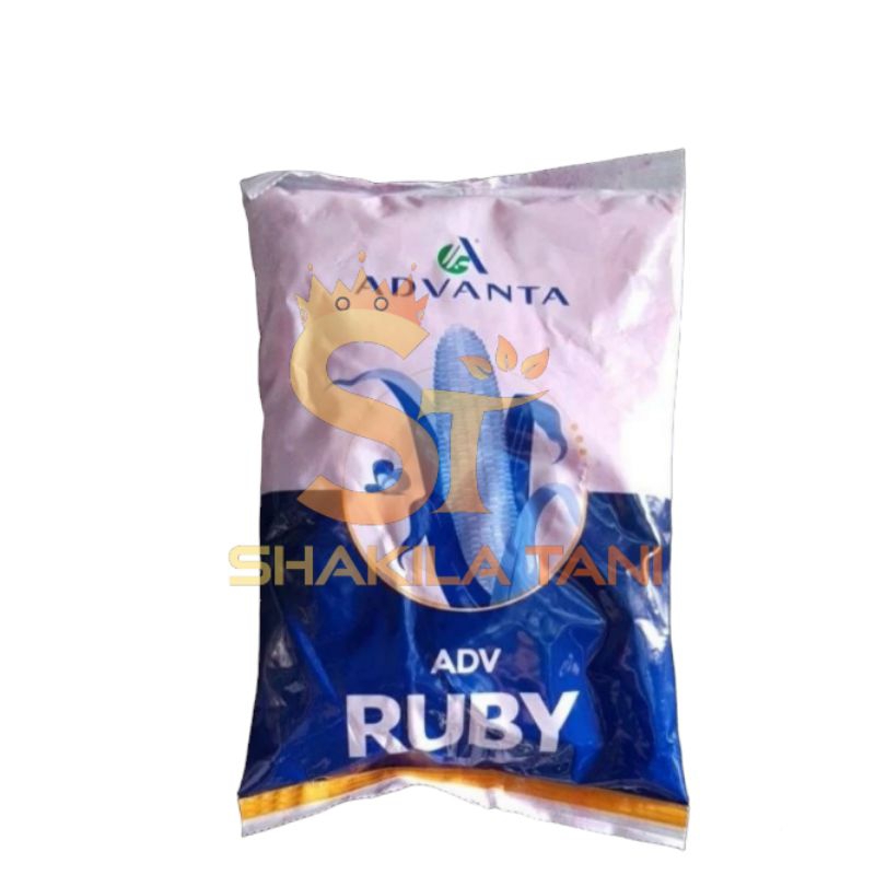 Jual Benih Jagung Adv Ruby Kemasan 1Kg - Cap Advanta | Shopee Indonesia