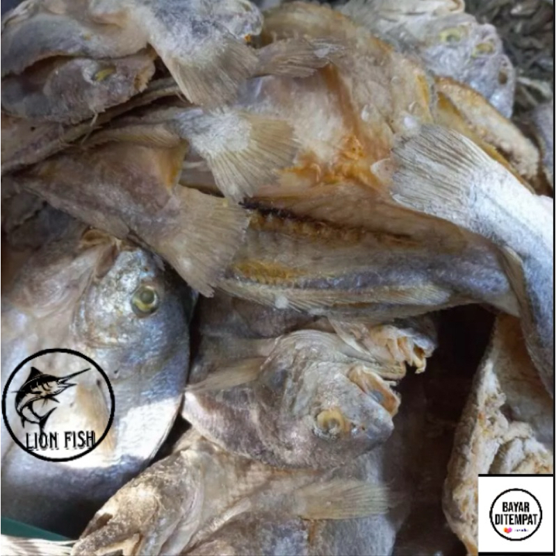 Jual ikan asin samge belah fresh;500gram | Shopee Indonesia