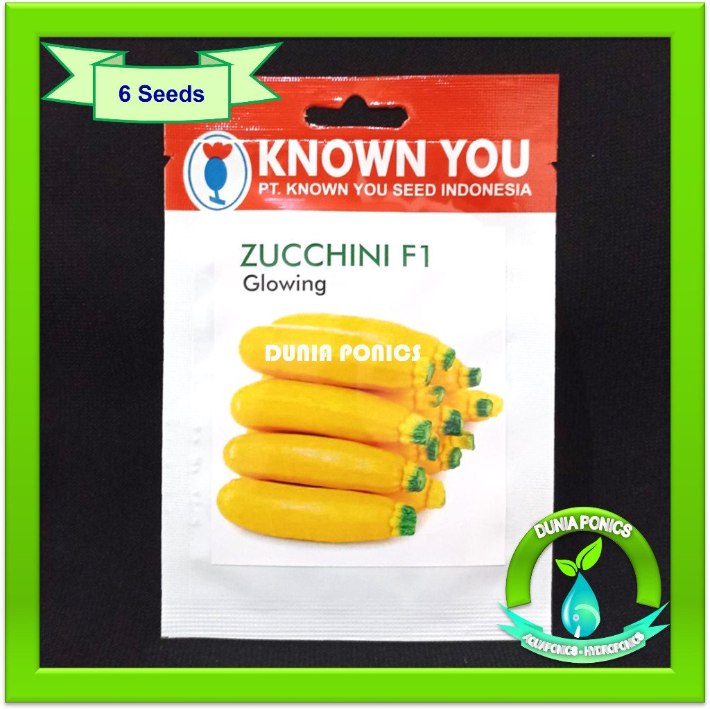 Jual Benih ZUCCHINI F1 Kuning Hibrida GLOWING Known You Seed Original ...