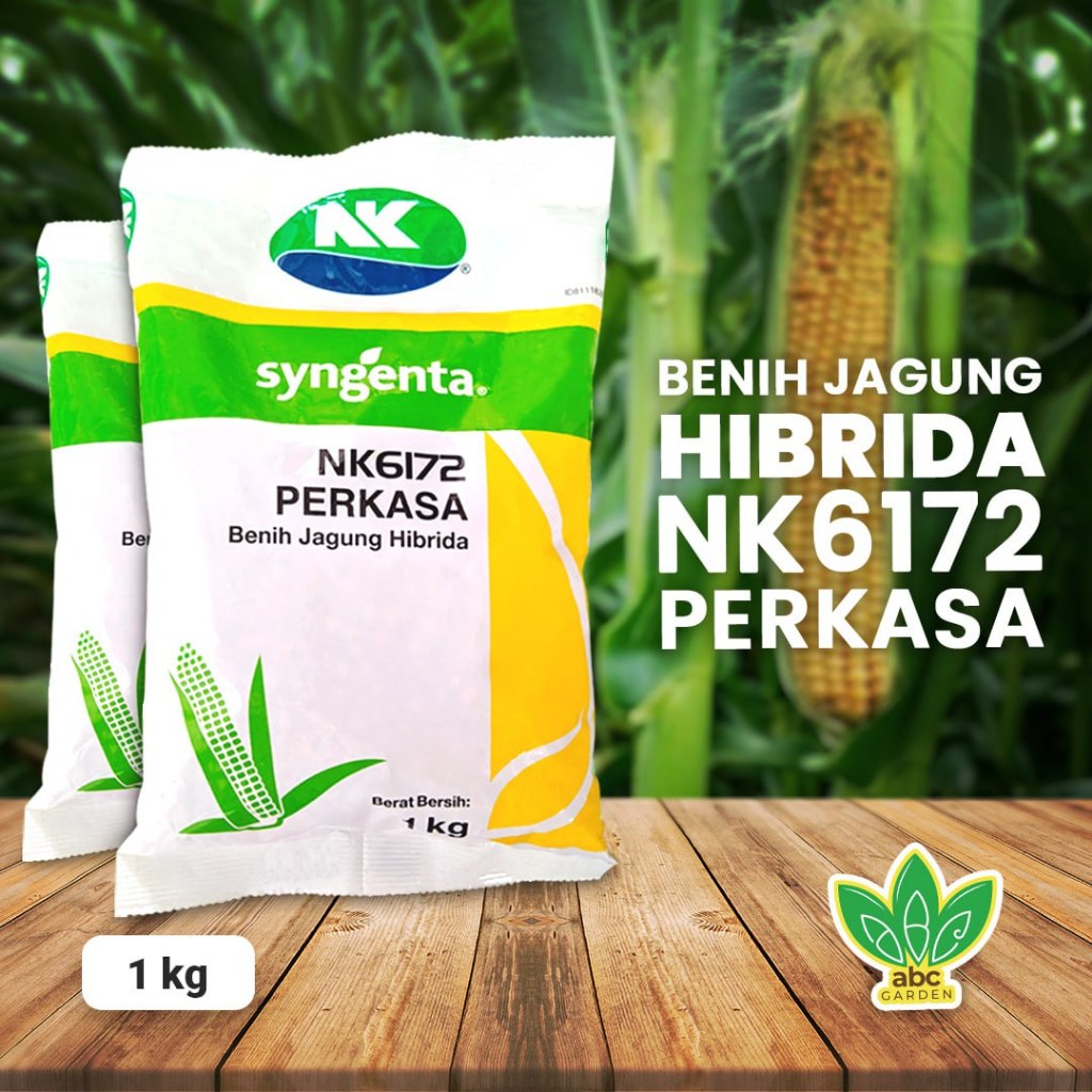 Jual [1 Kg] Benih Jagung Hibrida Perkasa NK6172 | Shopee Indonesia