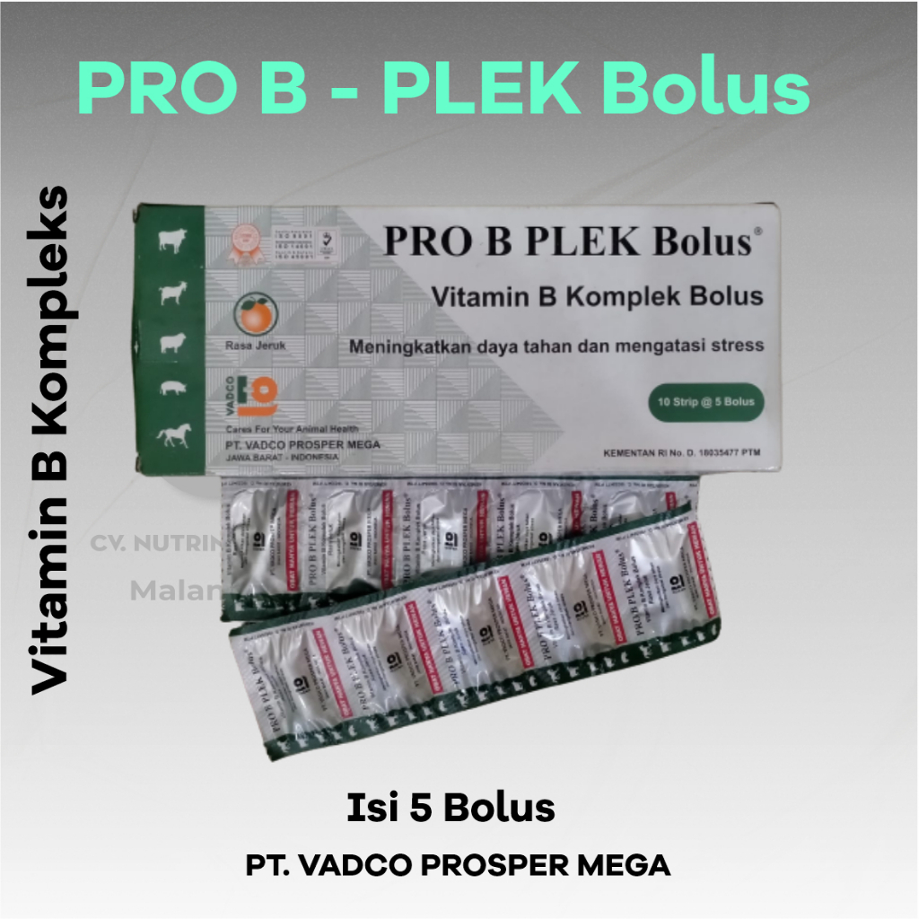 Jual Pro B Plek Bolus - Vitamin Ternak - Vitamin Meningkatkan Daya ...