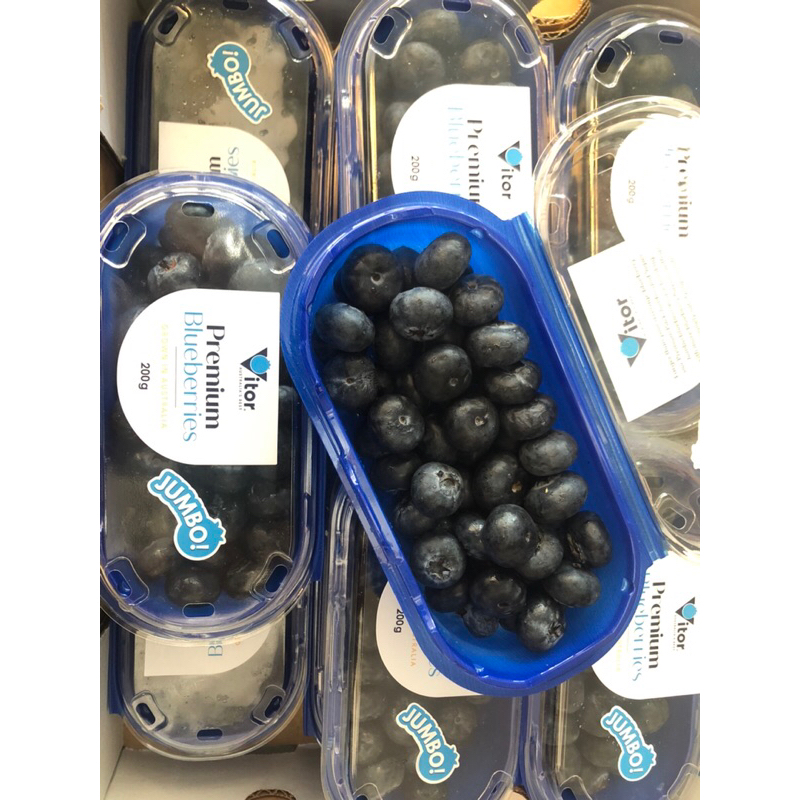 Jual Blueberry premium Vitor Jumbo Australia Berat 200 gram / pack ...