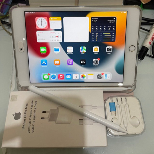 Jual Ipad mini 5 128GB wif only / ipad mini 4 16GB Wifi Only Seken