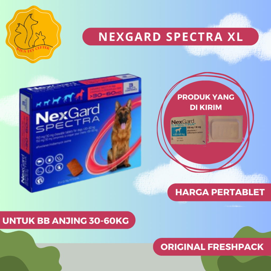 Nexgard spectra xl on sale dog