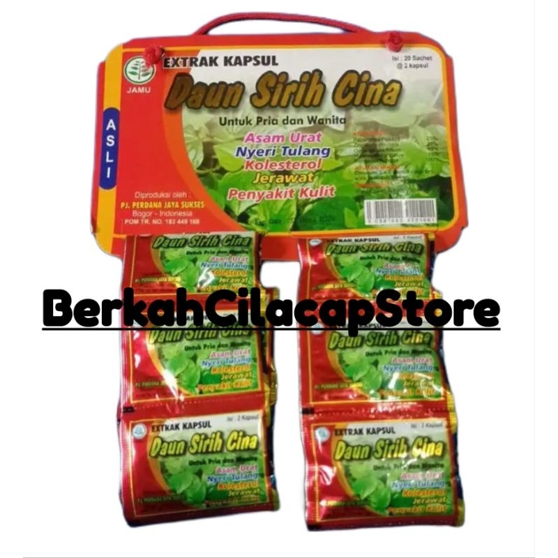 Jual Daun Sirih Cina Asli Original Herbal Shopee Indonesia