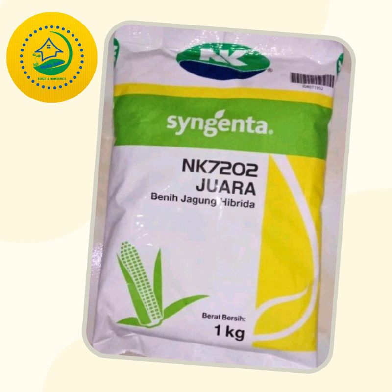 Jual KKS NK JUARA 7202 BENIH JAGUNG HIBRIDA SYNGENTA HASIL TINGGI ...